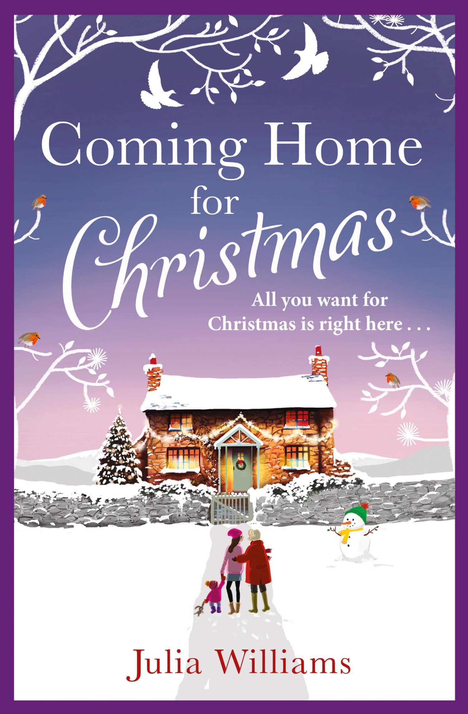 Coming Home For Christmas: Warm, humorous and completely irresis