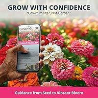 Vista 377 de HOME GROWN Semillas de diente de león para plantar 600 semillas de hierbas medicinales tradicionales (~ 0.01 oz) sin OMG cultivan hojas y flores