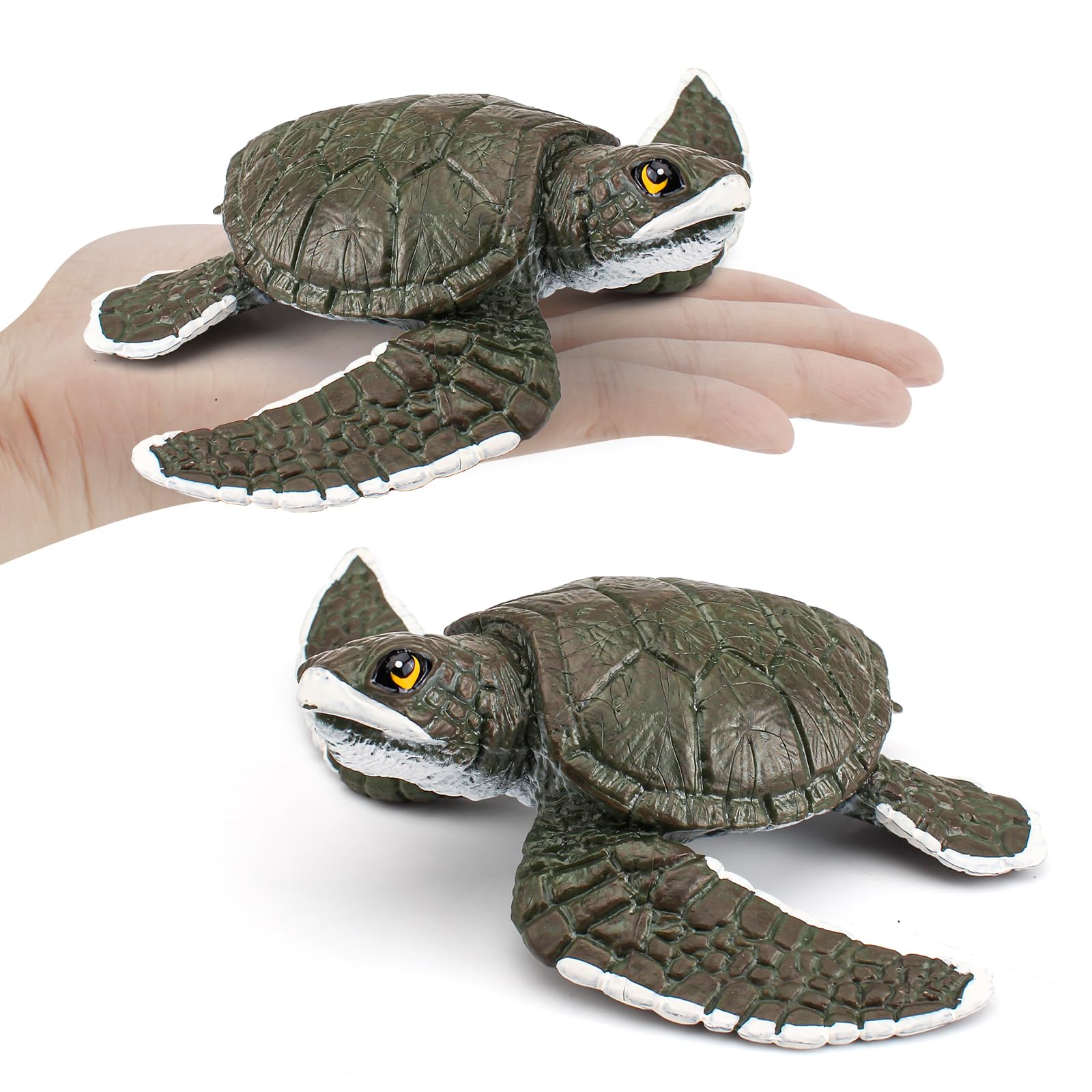 ウミガメ レプリカ 海洋生物 のリアルなハンドメイド作品 ウミガメ レプリカ 海洋生物 のリアルなハンドメイド作品