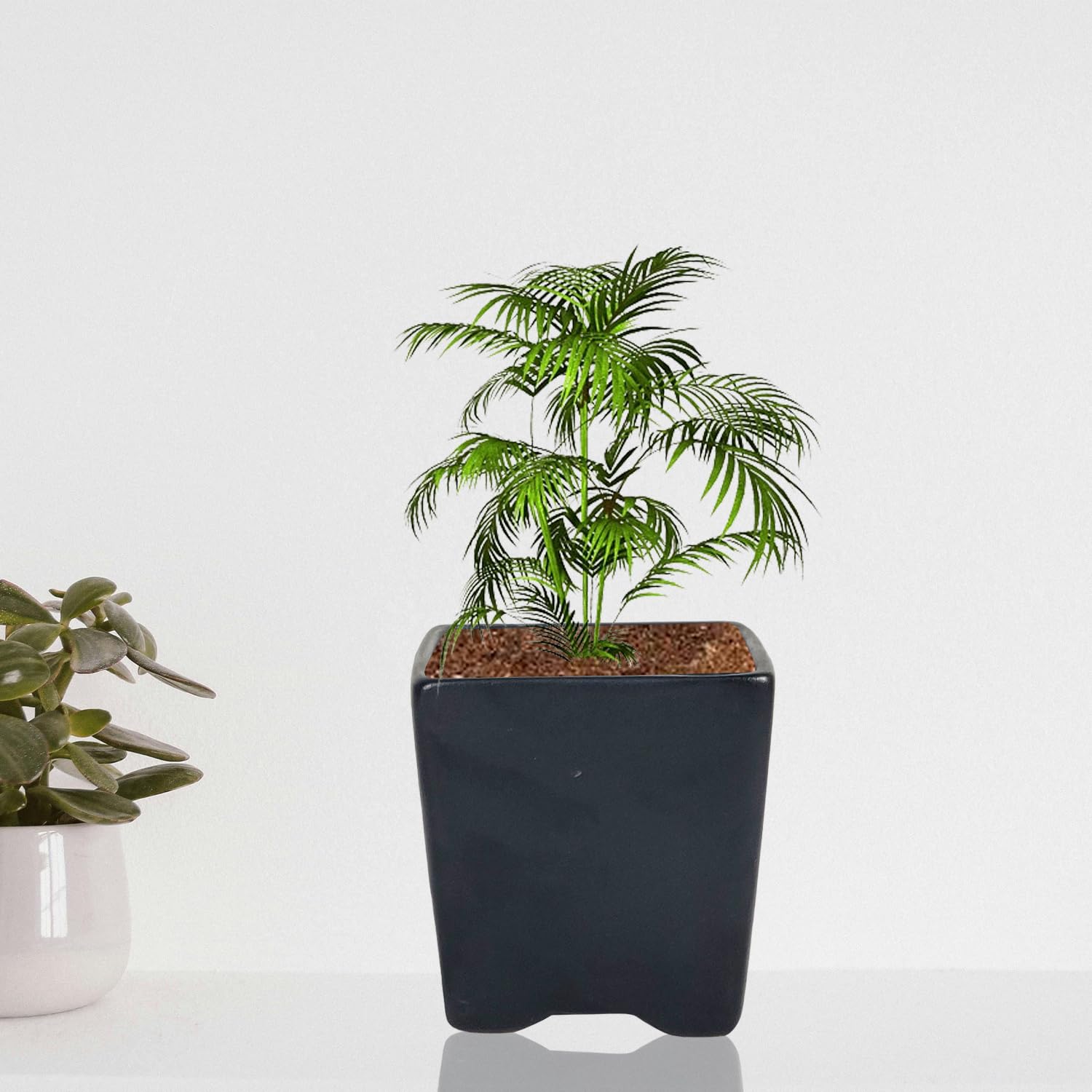 Lasaki Mini Mint Ceramic Pots - Indoor Outdoor Planters -7