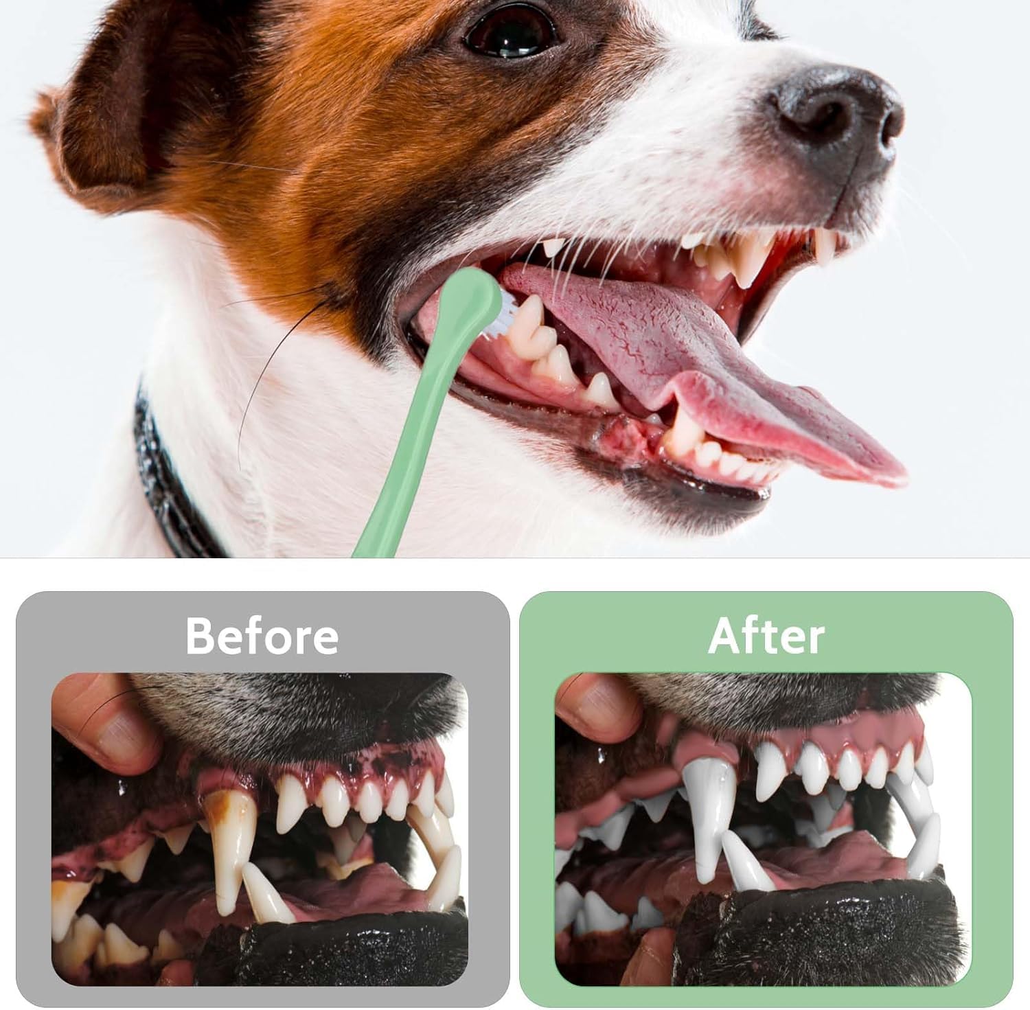 Paquete de 2 cepillos de dientes suaves para mascotas pequeñas, mini cepillo de dientes para perros y gatos con cerdas de nailon suave, cepillo de dientes manual portátil para cachorros