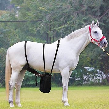 Amazon Missstore オス馬尿バッグ 馬小尿ポケット 馬小尿入れ 馬小尿コレクター 丈夫で防水性 洗濯機洗い可 取り外し可能インナーバッグ ベルクロ付き 男性馬尿バッグ Missstore 馬術スポーツ