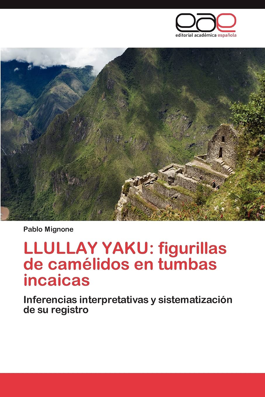 LLULLAY YAKU: figurillas de camélidos en tumbas incaicas: Inferencias interpretativas y sistematización de su registro: Figurillas de Camelidos En Tumbas Incaicas