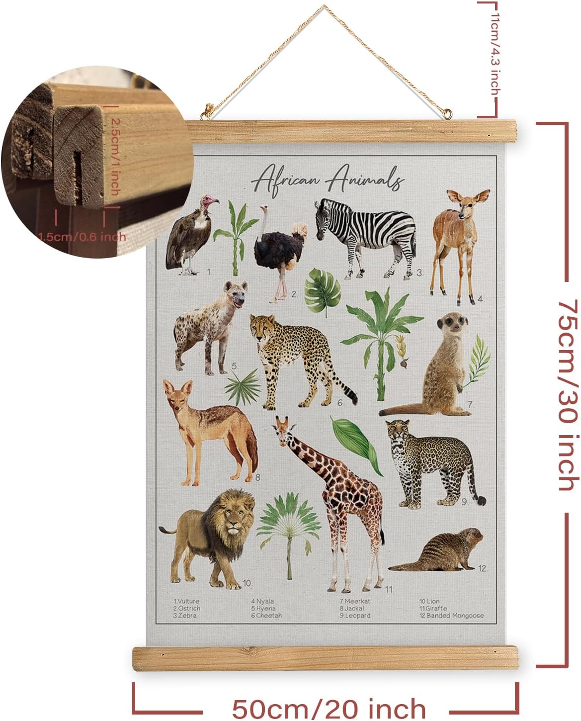 MIDEFINCH Vintage Wildlife Poster with Wooden Frame - Illustrated African Animals Chart - Exotic Fauna Art Print for Home and Classroom Decor - Educational Nature Wall Hanging 20 X 30 inches