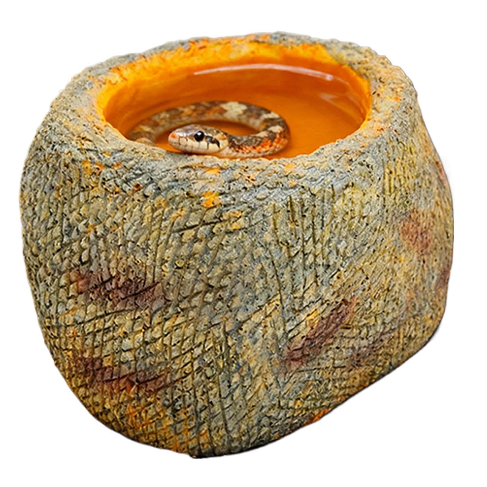 Bol d'eau pour reptiles stable pour éviter les mues difficiles