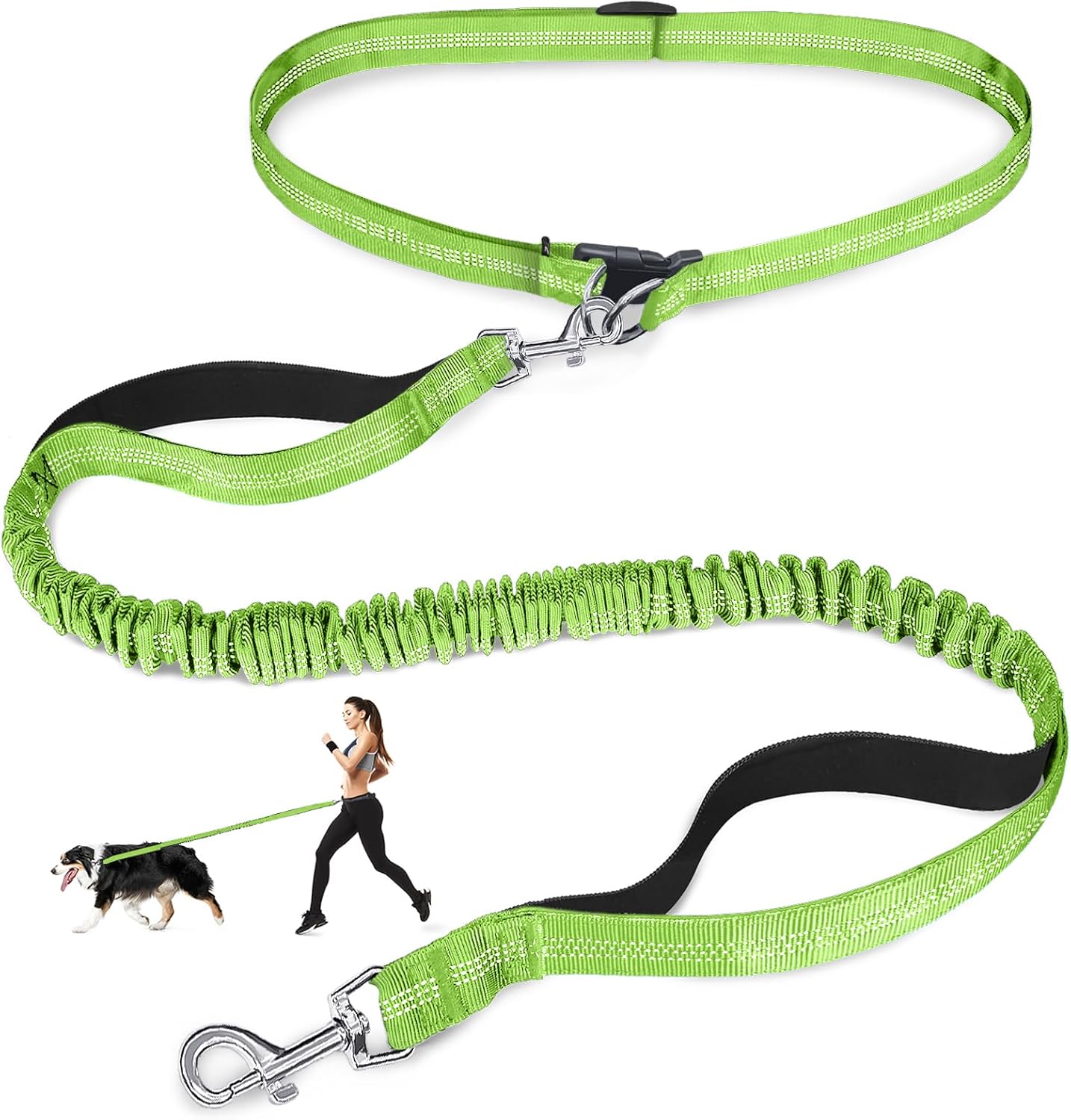 Hands Free Dog Leash