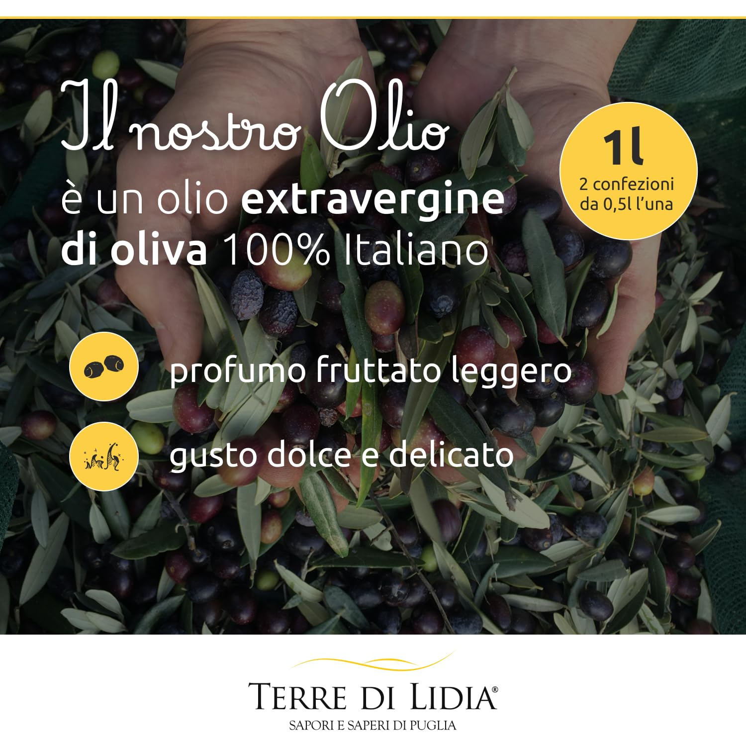 Terre di Lidia - Olio extravergine di oliva - 1 Latta da 5 L - Filiera corta, Campagna 2025/2026, Estratto a freddo - Varietà Ogliarola, Gusto Delicato - Produzione 100% italiana