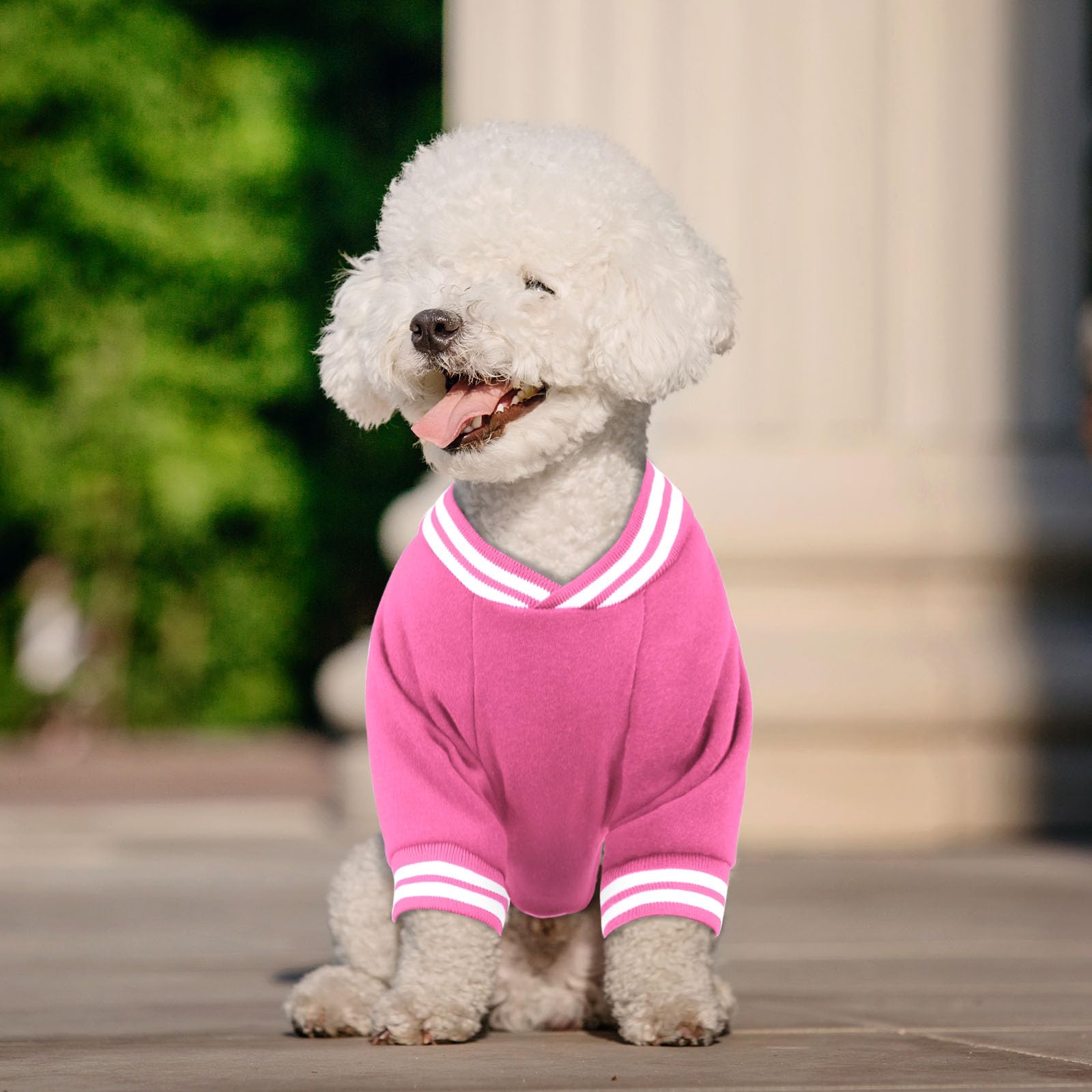 Hundepullover aus gebürstetem Fleece, Baseballjacke, weich, warm, Haustier-Sweatshirt, Hundepullover für kleine Hunde, Welpenpullover, Jungen, Mädchen, Haustier (Rosa, Größe XS)