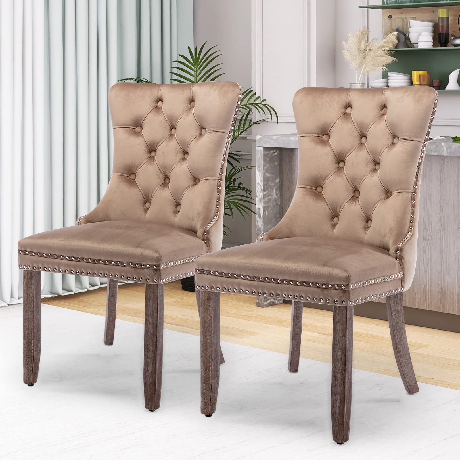 Set of 2 Velvet Dining Chairs with Nailhead Trim – Elegant Comfort