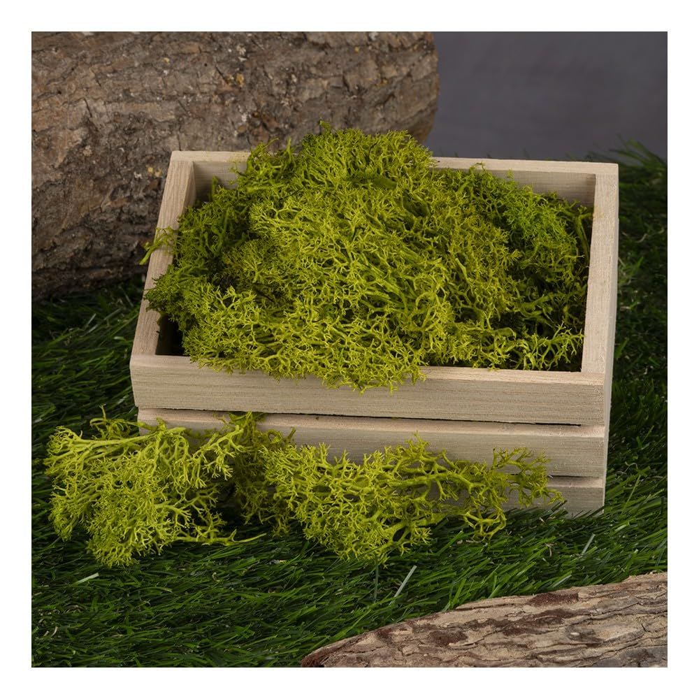 Ideen Mit Herz Mousse D'Islande Verte 100g - Mousse Naturelle Préservée Pour Décoration Florale Et DIY