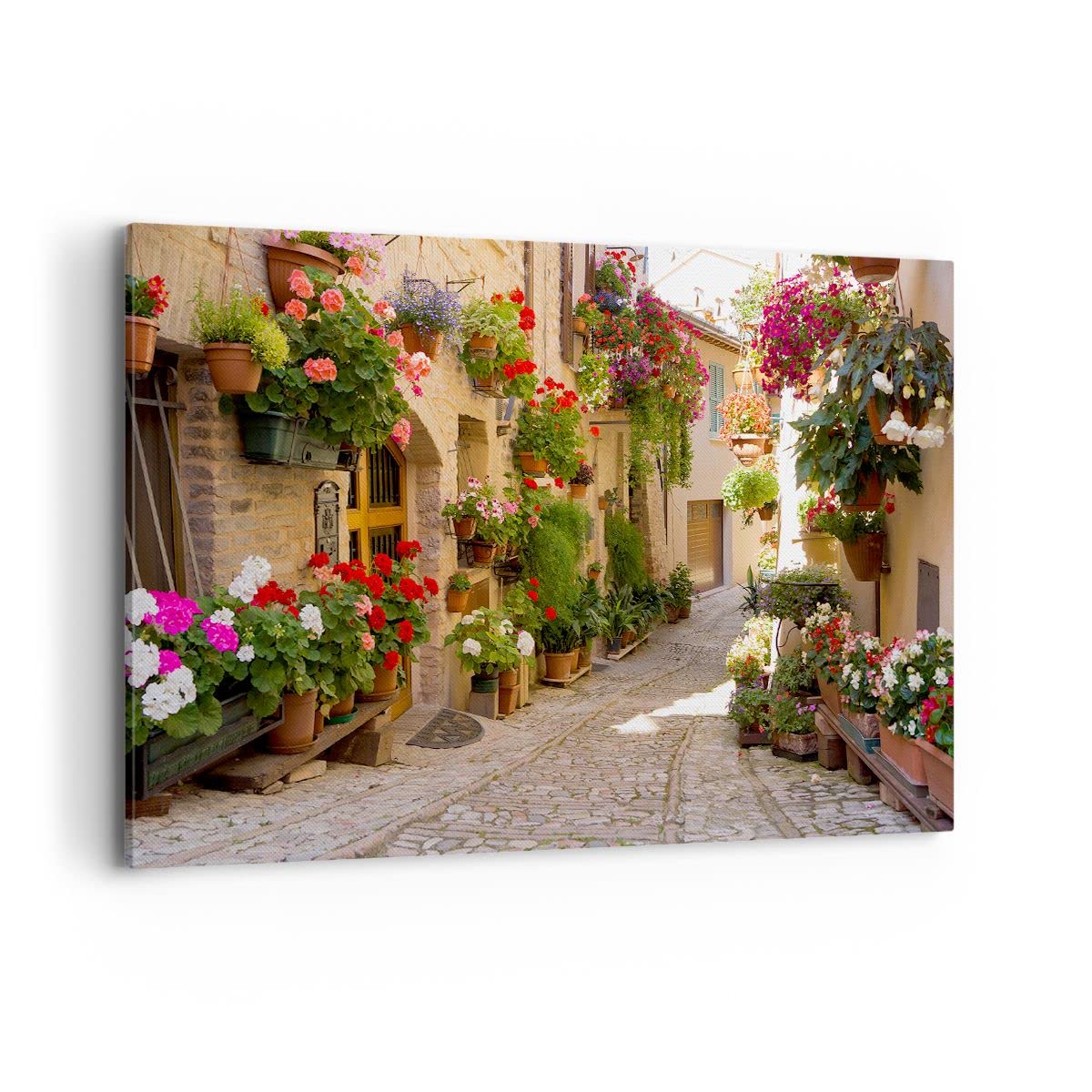 ARTTOR Cuadros Decoracion Salon flor calle casa Lienzos decorativos 120x80cm Cuadro Sobre Lienzo Moderno Dormitorio Cocina Cuadros Pared Imágenes Wall Art Prints Decor Canvas Grande XXL AA120x80-3586