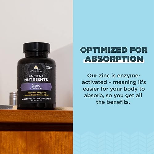 Miniatura 3 de Suplemento de probióticos y zinc de Ancient Nutrition, apoya el sistema inmunológico saludable y la salud intestinal, fabricado sin OMG, suplemento