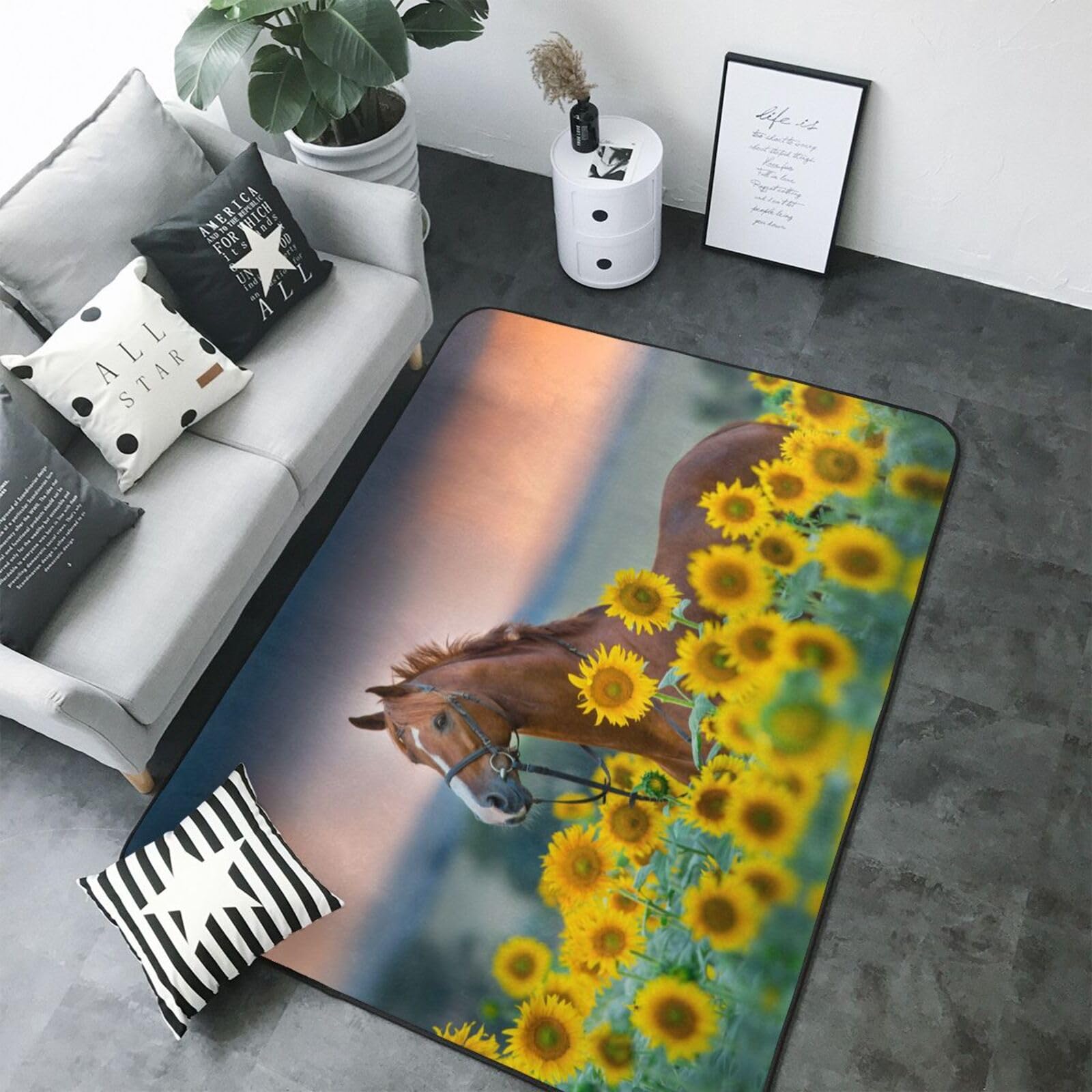 Tapis d'intérieur doux velouté motif cheval pour salon élégant 12x17 cm