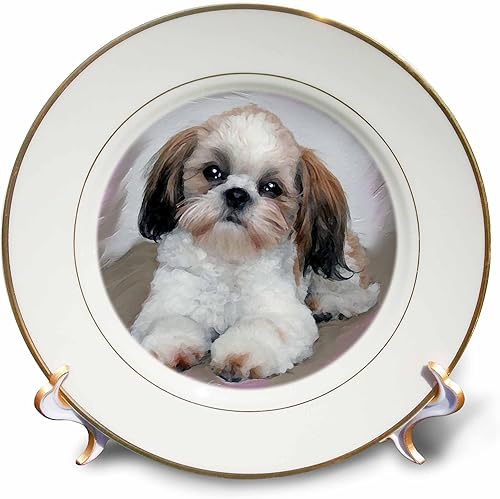 Perros shihtzuShih Tzu PuppyPlatos
