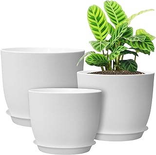 Sponsored Ad - Plant Pots 10/9/8 inch Set of 3 Pack, Planters with Drainage Holes and Removable Saucer,Multiple Colors are...
