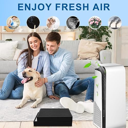 Miniatura 10 de Filtro de repuesto serie 5400 para purificadores de aire compatible con DustMagnet 5440i, 5410i Home Purificadores de aire - Para filtro de repuesto