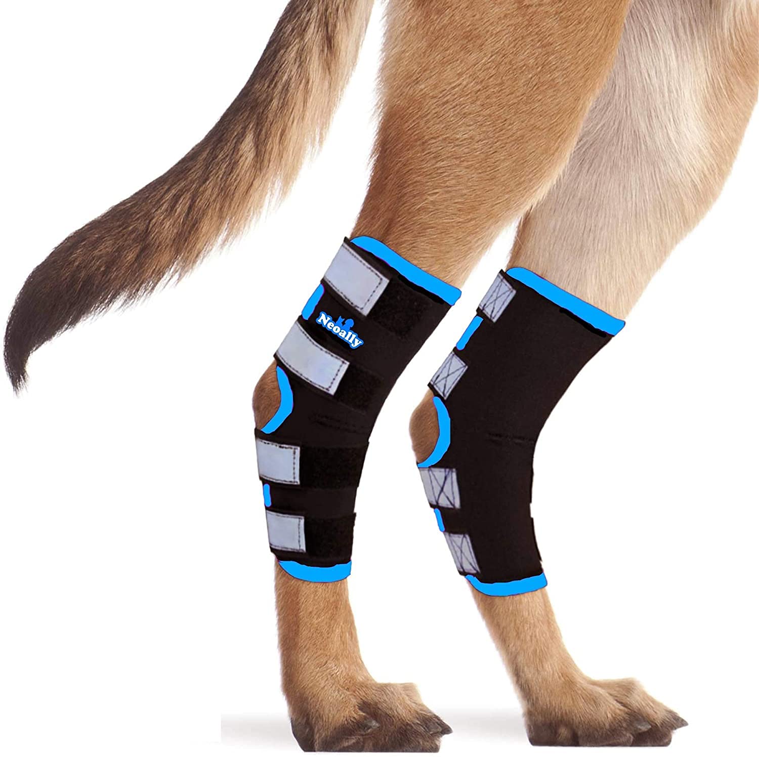 Buy NeoAlly Dog Leg Brace [Long Version] Canine Hind Hock Support with
