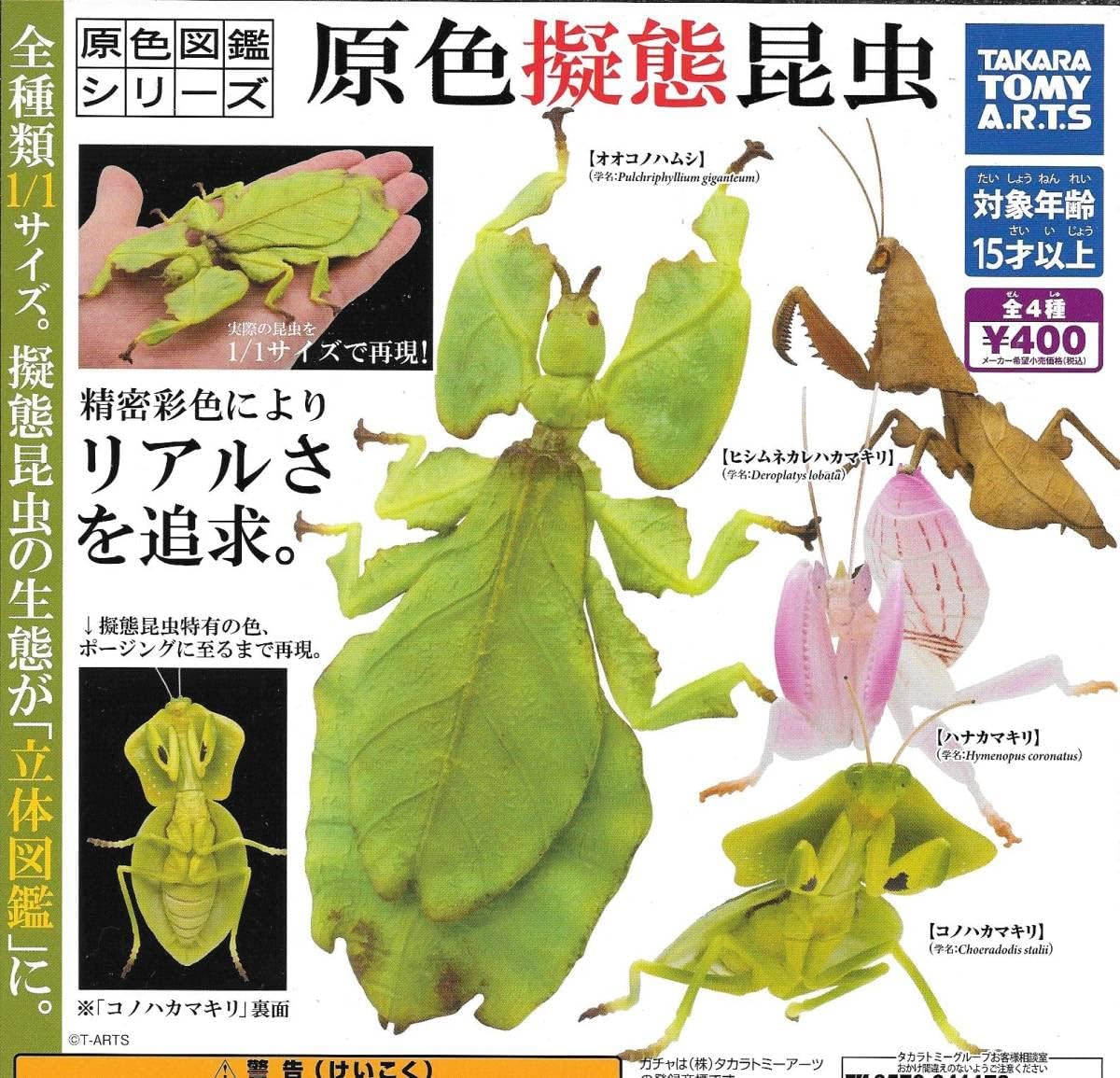 Amazon Co Jp 原色図鑑シリーズ 原色擬態昆虫 全４種フルコンプセット 未開封 オオコノハムシ ハナカマキリ コノハカマキリ ホビー 通販