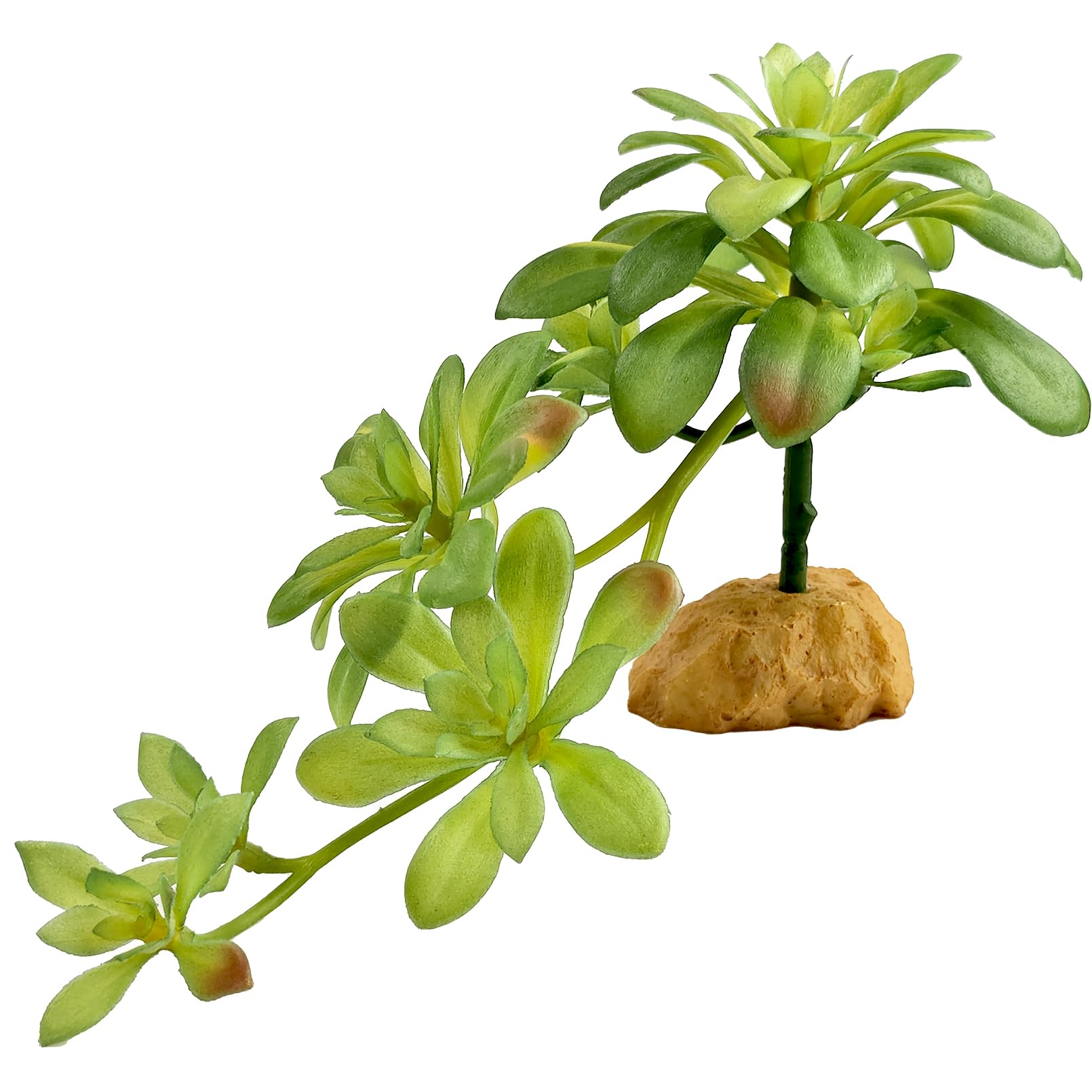 Woyrise Reptile Plants Succulent, Artificial Desert Plant for Terrarium Decor, Bearded Dragon Tank Accessories fit Gecko Lizard Chameleon Ball Python Snake - Sedum Palmeri