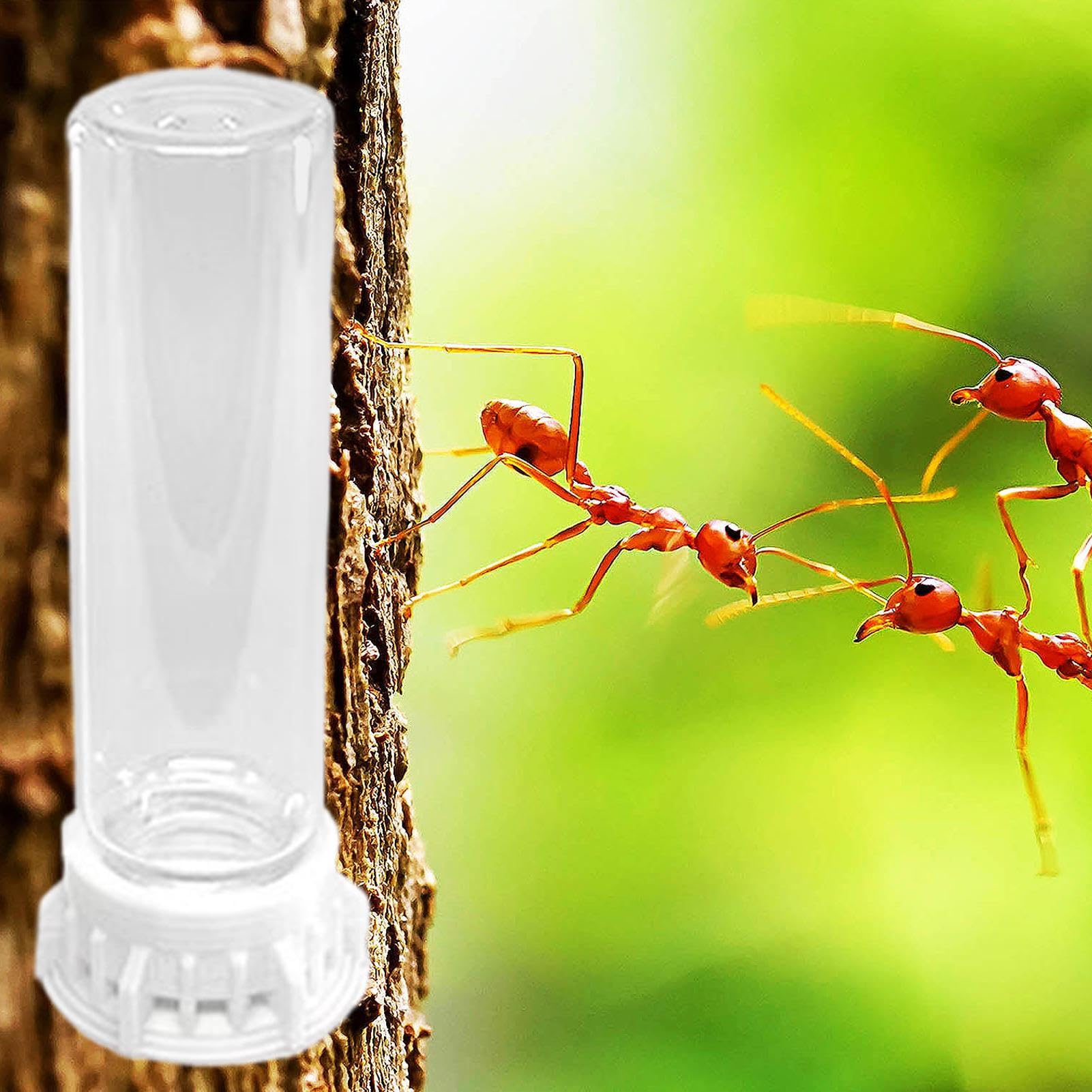 Distributeur d'eau pour Fourmis,Nourrisseur Liquide pour Petits Animaux - Accessoires Anti-Fuite pour Fourmilière Portable, Station d'alimentation Robuste pour Nid D'intérieur