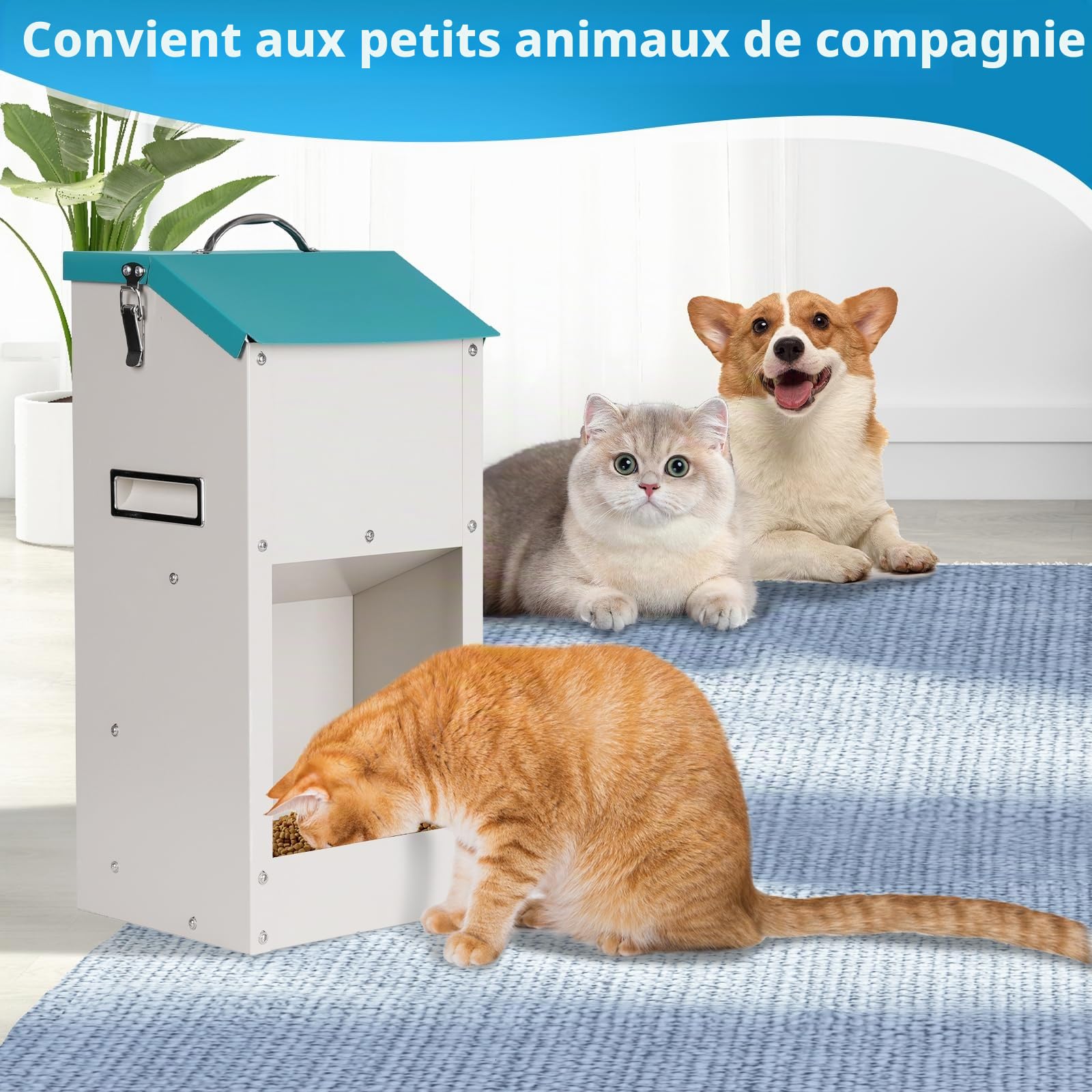 Mangeoire Automatique à Gravité Réservoir 6 kg pour Animaux Domestiques, Distributeur de Croquettes pour Chien, Chat et Chiots, Station de Nourrissage Continue