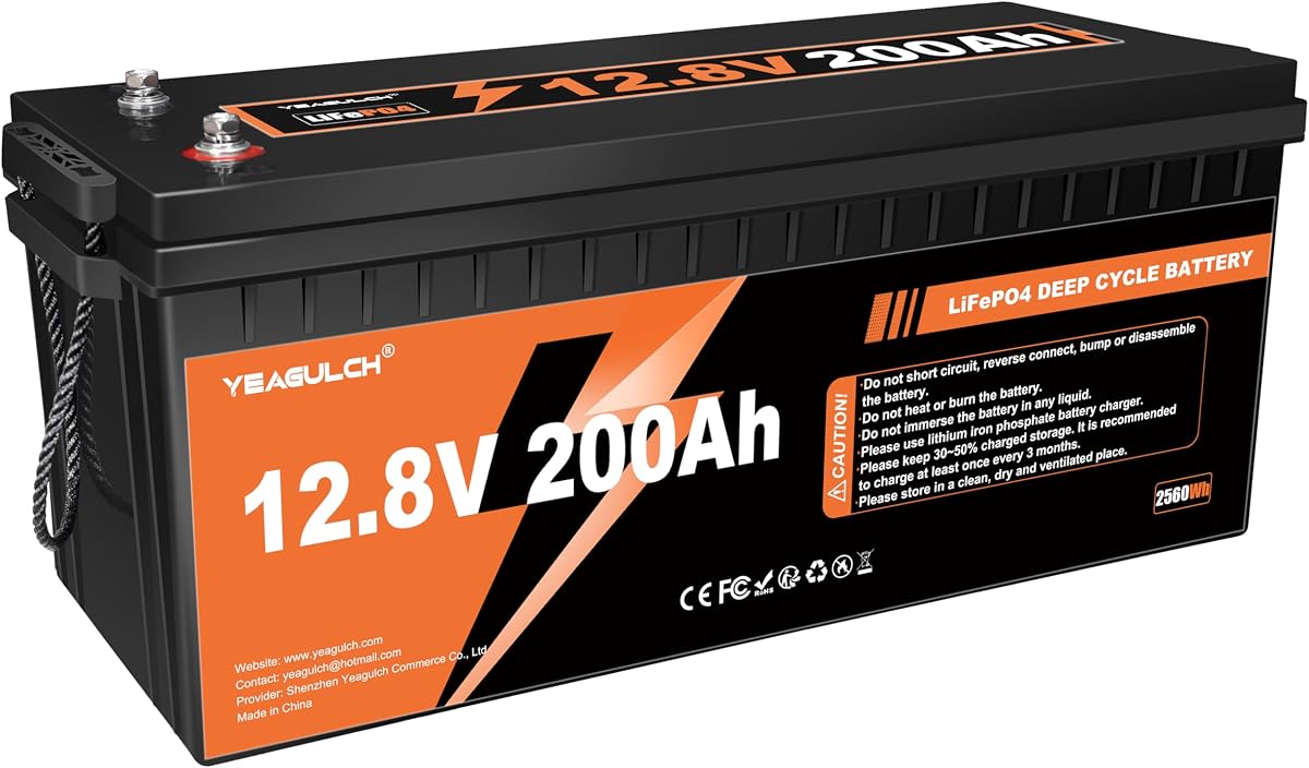 12V 200Ah LiFePO4 200A BMS