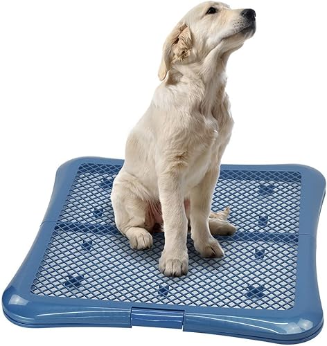 petphabet Soporte de almohadilla de entrenamiento para perros, bandeja de entrenamiento de malla (L-24 x 24 pulgadas)