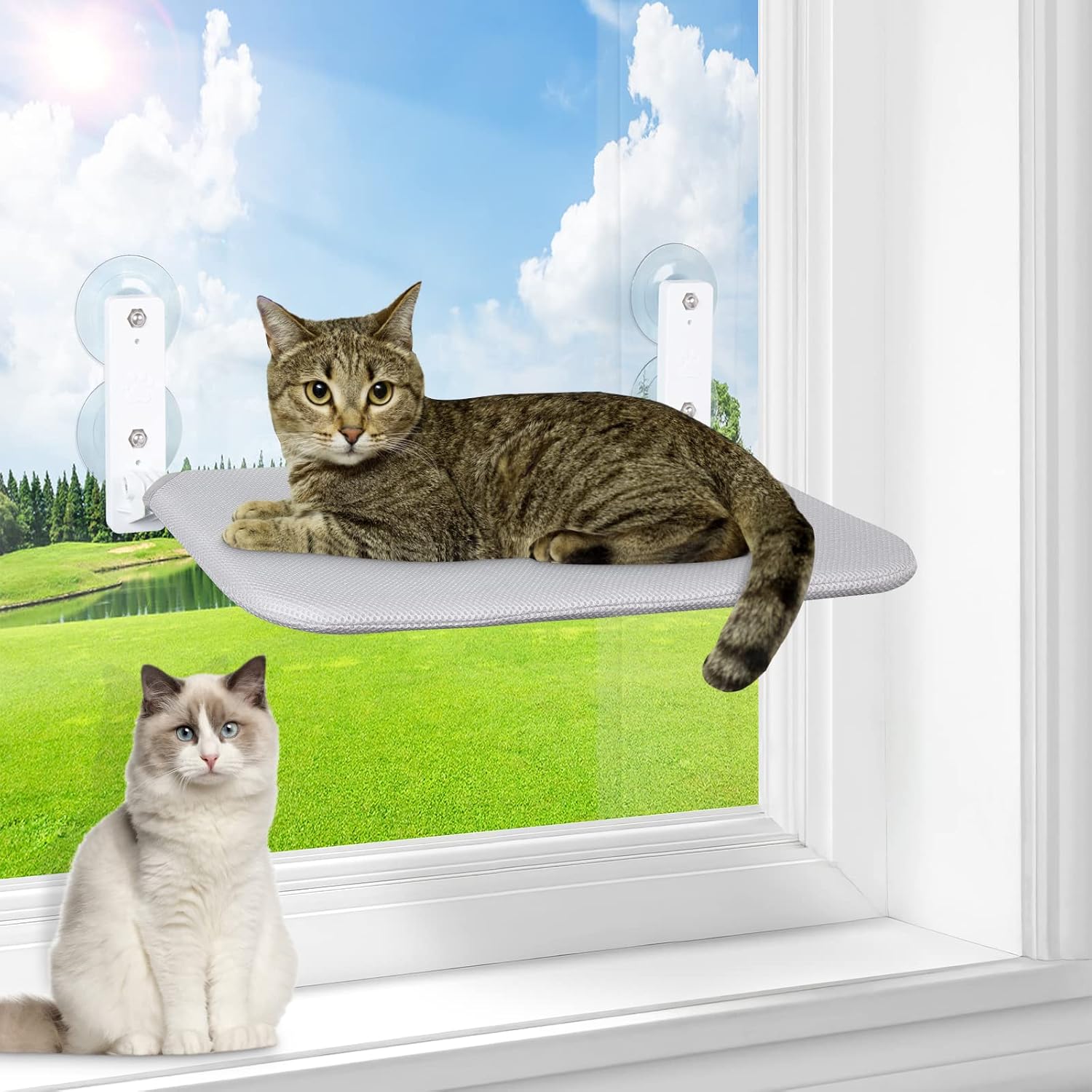 Cordless Cat Window Perch,Two Types of Installation,Cat Hammock for Wall with 4 Strong Suction Cups, Solid Metal Frame and Two…