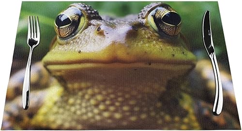 Miniatura 7 de 6 PCS PVC Placemats Set Place Mats Frog Looking into Camera Non-Slip Weave Place Mats 12" x 18" Farmhouse Table Mat Set for Family Dinners Wedding