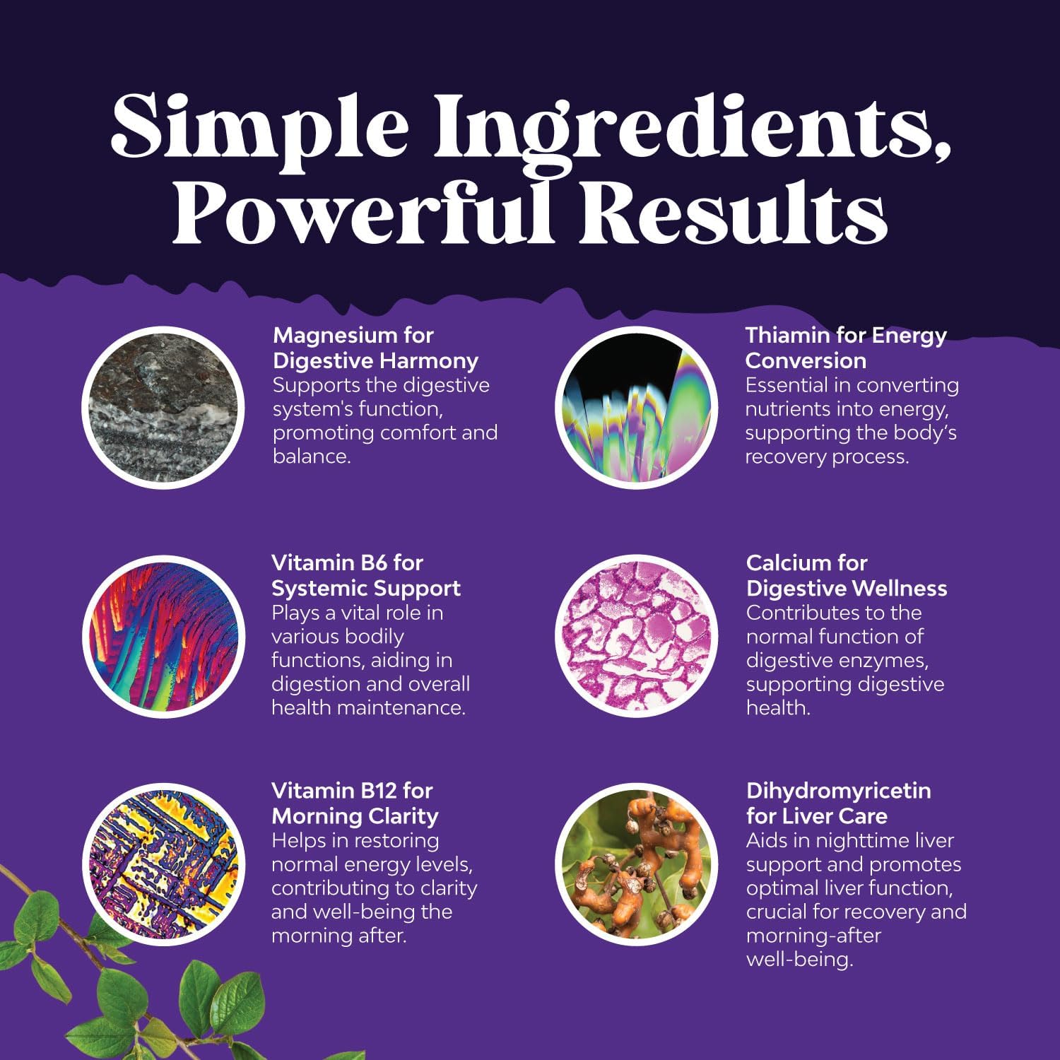 Nighttime Liver Detox & Hydration Pills - Pre and Post Drinking Recovery Liver Support Supplement for Better Mornings with DHM Dihydromyricetin Milk Thistle Extract and Electrolytes - 240 Count - Image 5