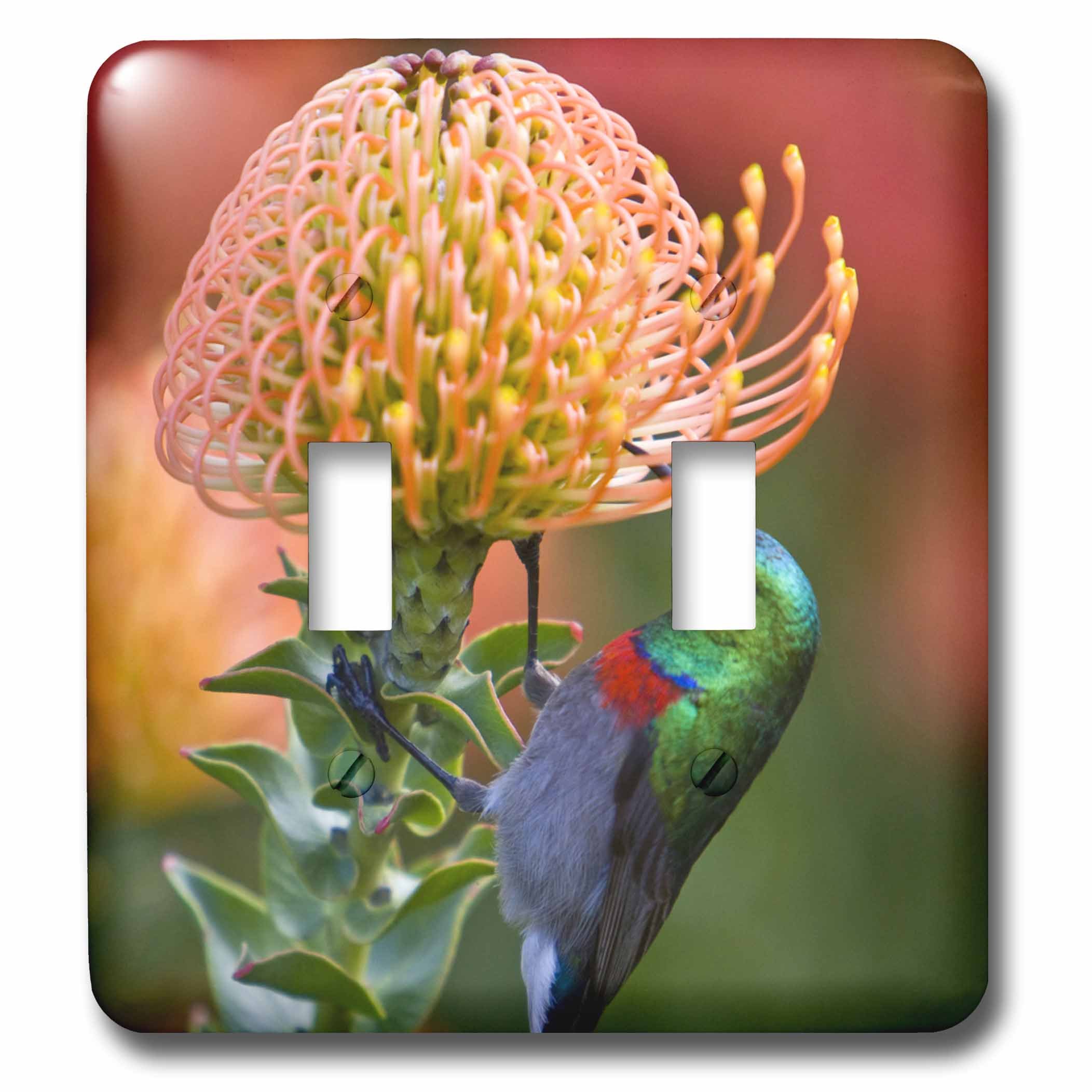 Interrupteur double col Sunbird pour décorer votre salon exotique