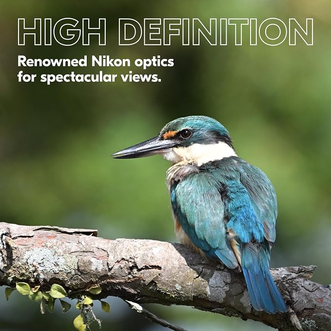 Nikon PROSTAFF P3 10x42 Binocular miniatura 9