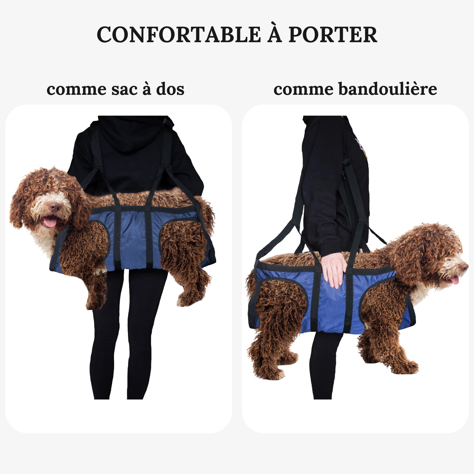 Aide au transport pour chien - Sac à dos d'urgence lors de randonnées ou sac de transport pour chien au quotidien dans les escaliers - Petit, léger, robuste, de qualité supérieure