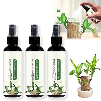 Brazilian Wood Hydroponic Nutrient Solution - Brazilwood Plant Braziletto Special Food Fertilizer - Brasiletto Flowering Liquid Fertilizer - No Dilution Required 3.5fl.z 3Pcs