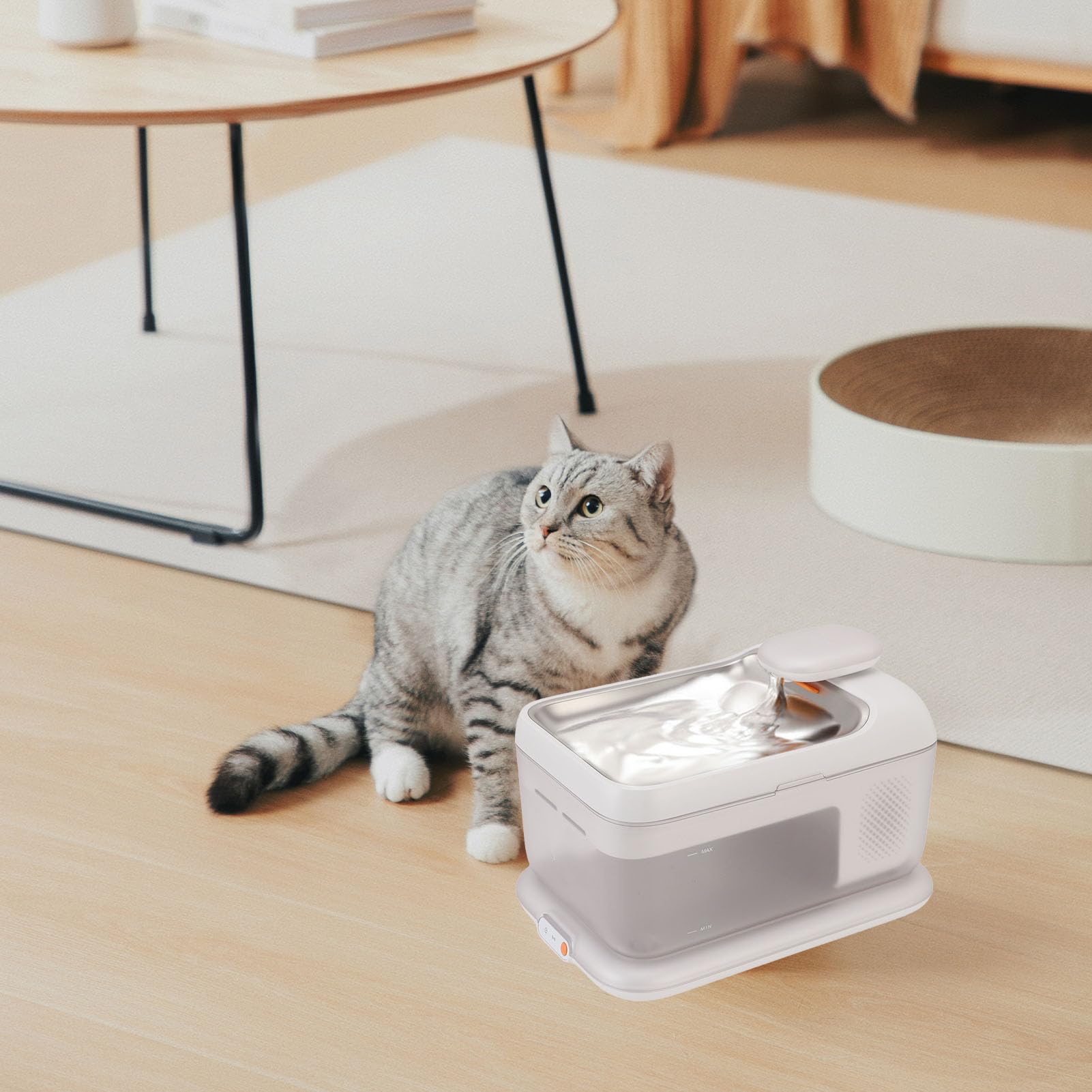 Fuente de Agua para Gatos de Acero Inoxidable de 4,5 L de Gran Capacidad, Dispensador de Agua Inteligente Inalámbrico para Mascotas con Bomba Silenciosa, Alimentador Circulante de Cuenco de