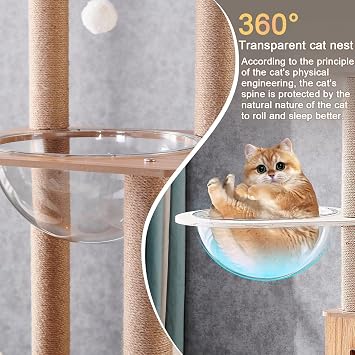 155CM Cat tree,With 1 Hammock,House,2 Transparent space capsule,1 Dangling Ball,1 Jumping platform,Cat tree for indoor cats(Log color)