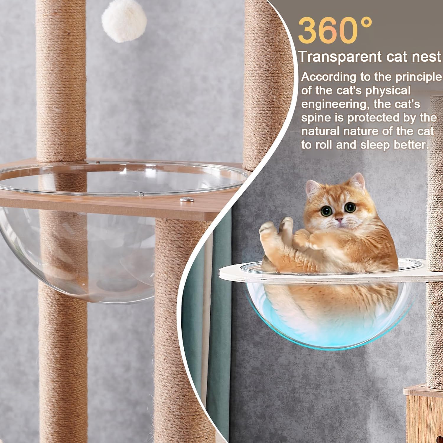 Árbol para Gatos de 155 cm, con 1 Hamaca, casa, 2 cápsulas espaciales Transparentes, 1 Bola Colgante, 1 Plataforma de Salto, árbol para Gatos de Interior (Color del Tronco)