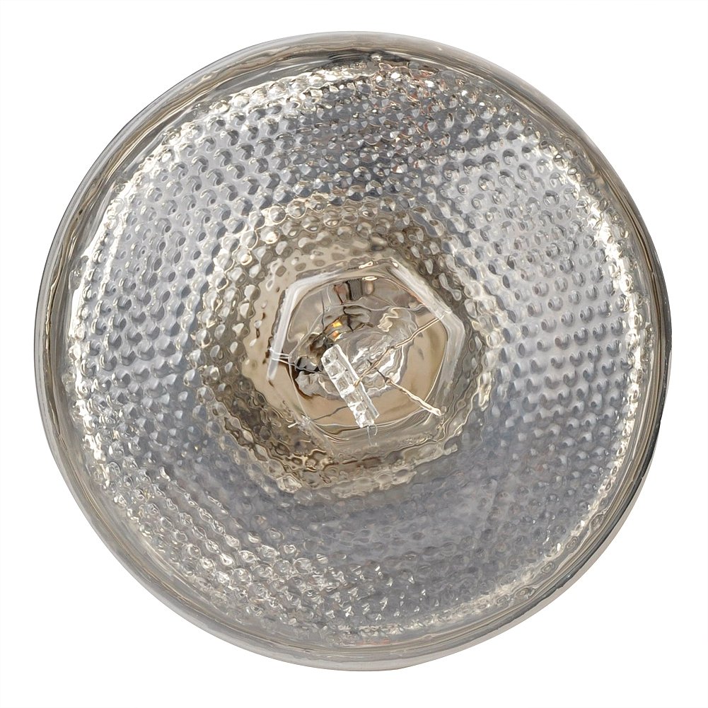 Lucky Herp Ampoule à vapeur de mercure UVA UVB pour reptile, filetage à vis E27, 100 W, 160 W disponible, transparent (100 W)