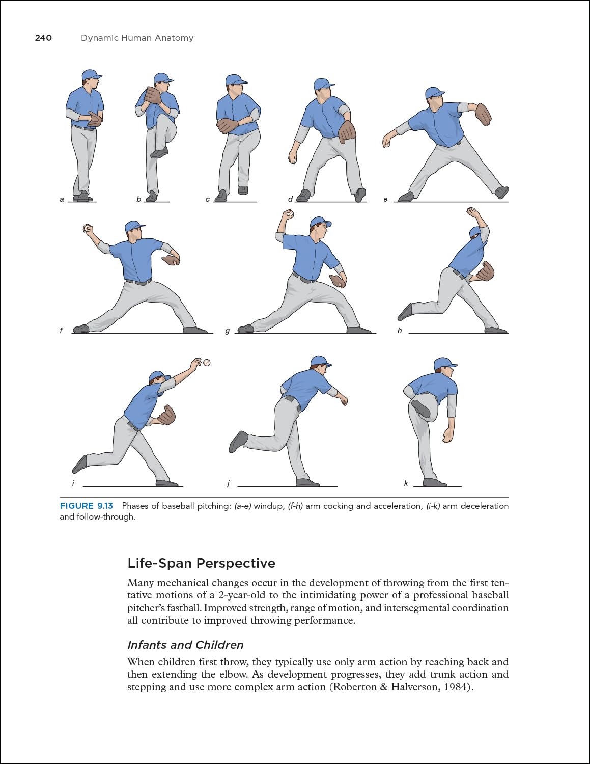 Dynamic Human Anatomy