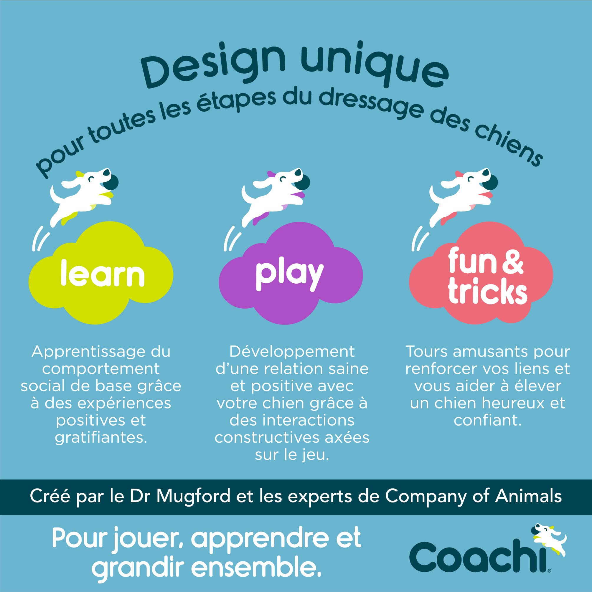 Training Line 10m Coachi, Dressage en extérieur, Dressage au Rappel, socialisation, légère, imperméable, idéale pour Stopper Les poursuites. pour Moyens et Grands Chiens/Chiots.