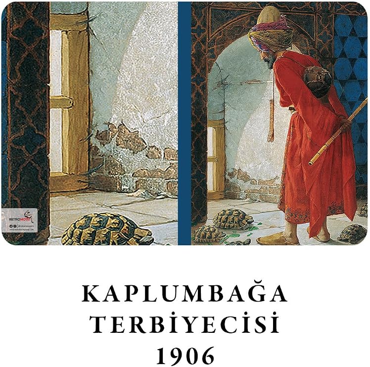 Retronote Osman Hamdi Bey 4'lü Defter Seti 3, Kaplumbağa Serisi, Çizgisiz, 64 Sayfa, 14x21cm, Standart