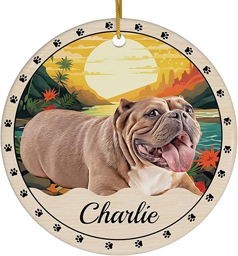 Sunset Theme Design Red American Bully Personalized Christmas Ornaments 2025 Circle White Ceramic Puppy Owner Gifts
