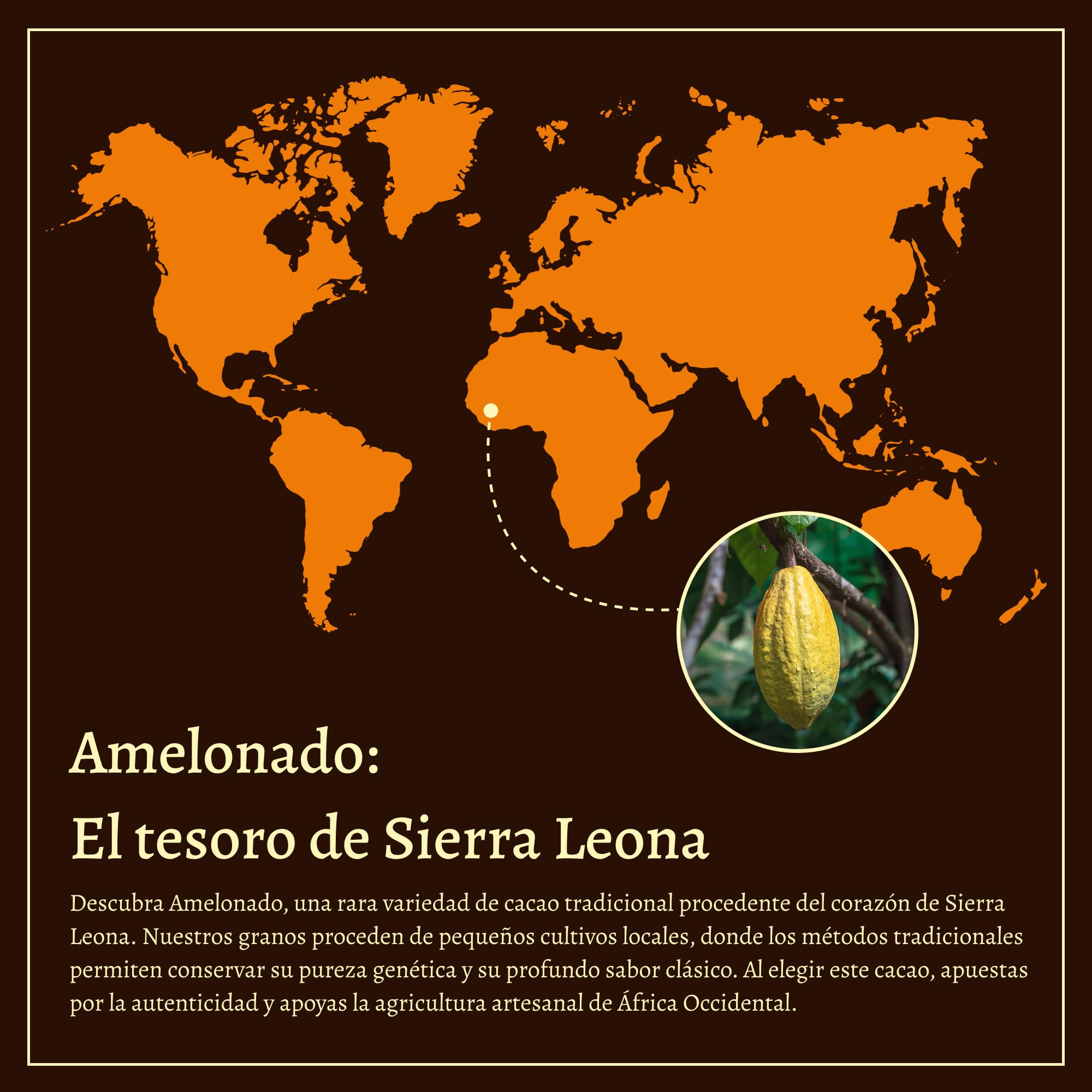 Cacao Ceremonial puro 100% Single Origin, Theobroma, Masa keto para beber sin azúcar, Saludable, sin gluten, Tradicional ceremonias espirituales, Plantación familiar en Sierra Leona, 1kg