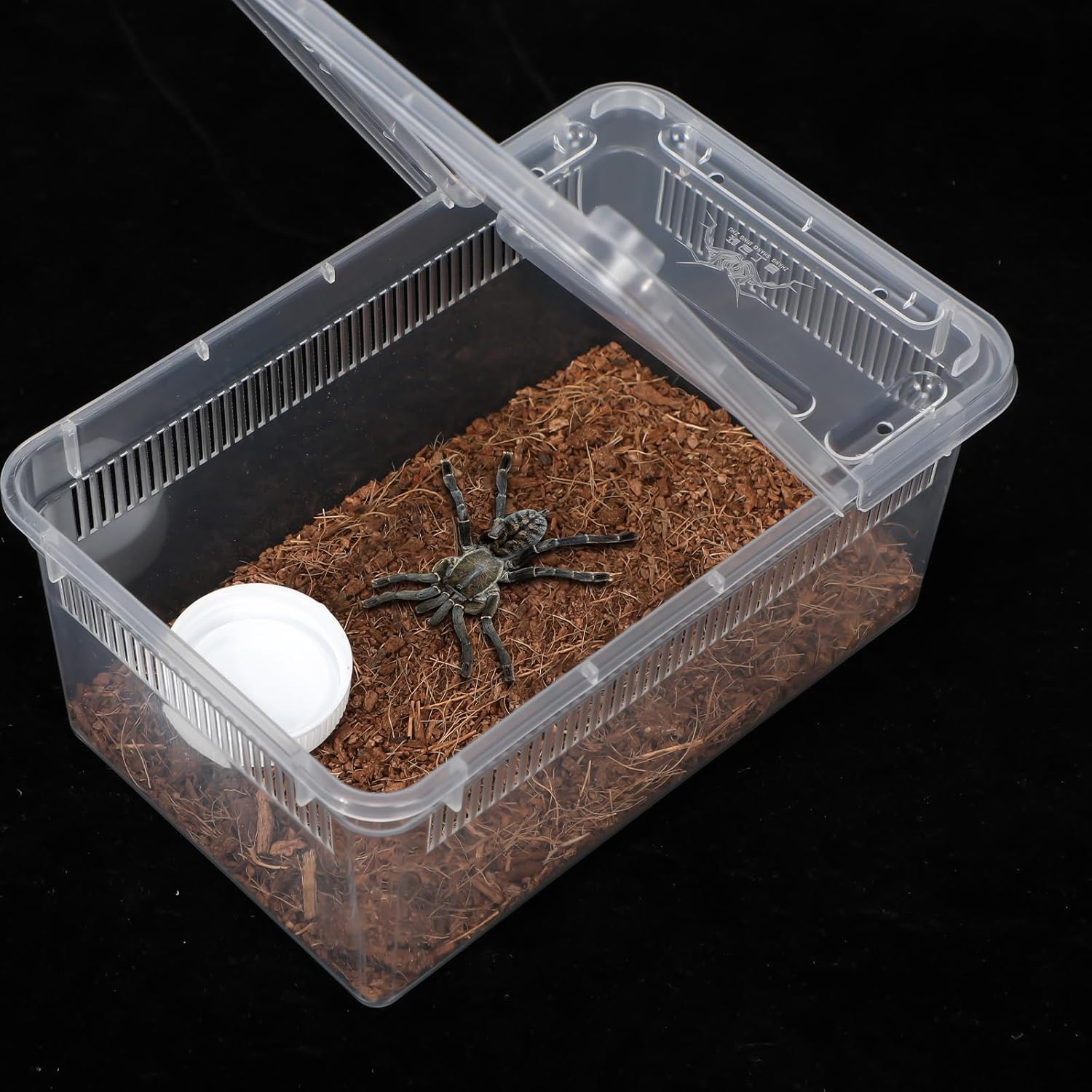 Irenare 8 Pcs Reptile Breeding Box Plastic Spider Terrarium Tarantula Feeding Box for Bearded Dragon Lizard Spider Gecko Scorpion(Vent Strips,Clear,7.48 x 4.92 x 2.95 Inch)