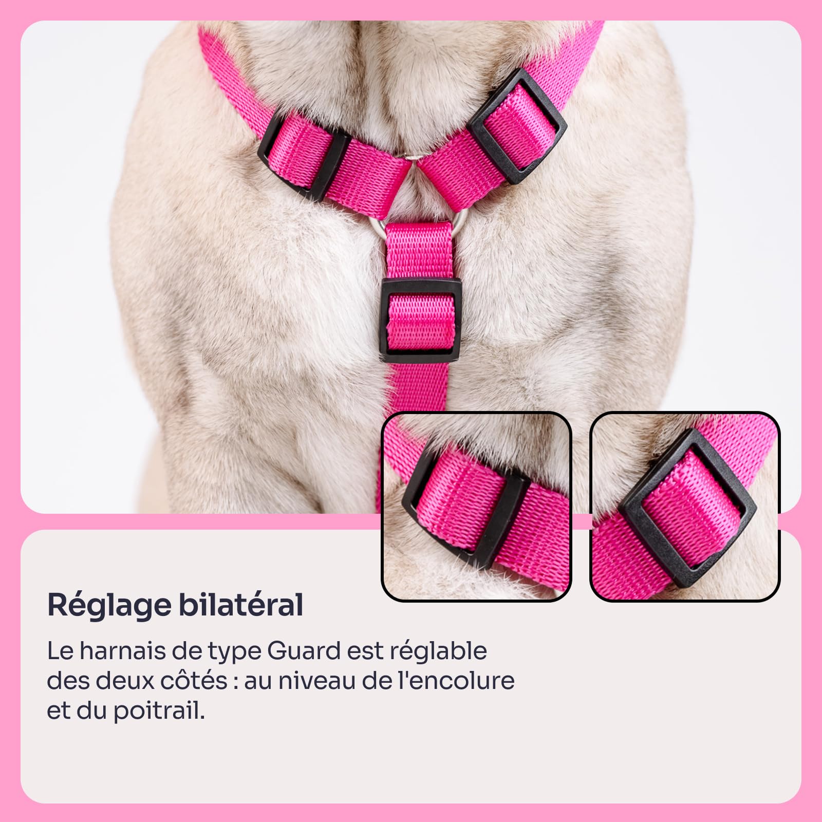 Chaba Guard Harnais pour Petit Chien, Anti Traction, Réglable en 5 Points, Empêchant la Traction et l'étouffement, Confortable et léger, Harnais de Poitrine Classique, Harnet Chien, Taille M, Fusion