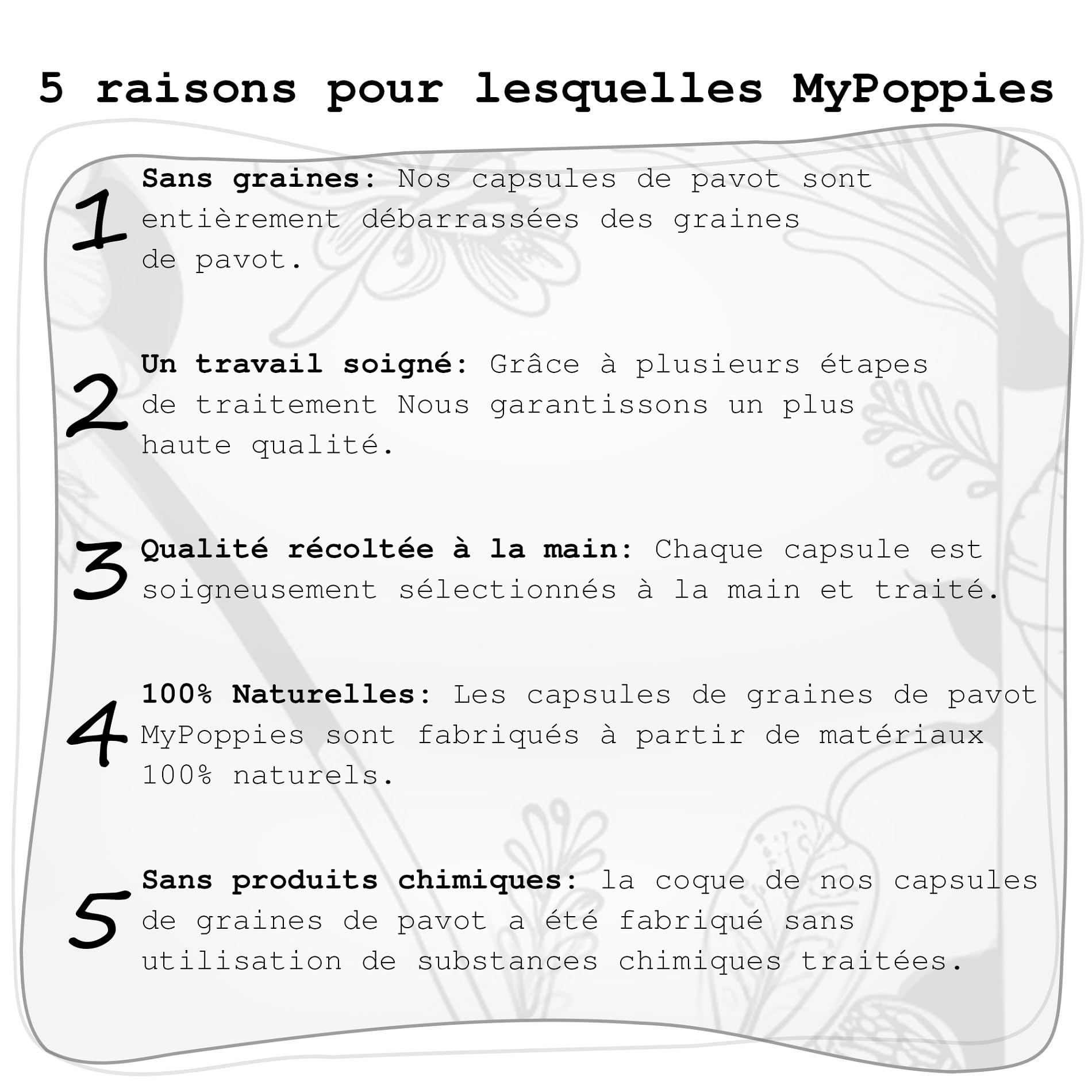 Capsules de graines de Pavot séchées sans Manche, Accessoires de Bricolage & décoration (Petit 200 g)