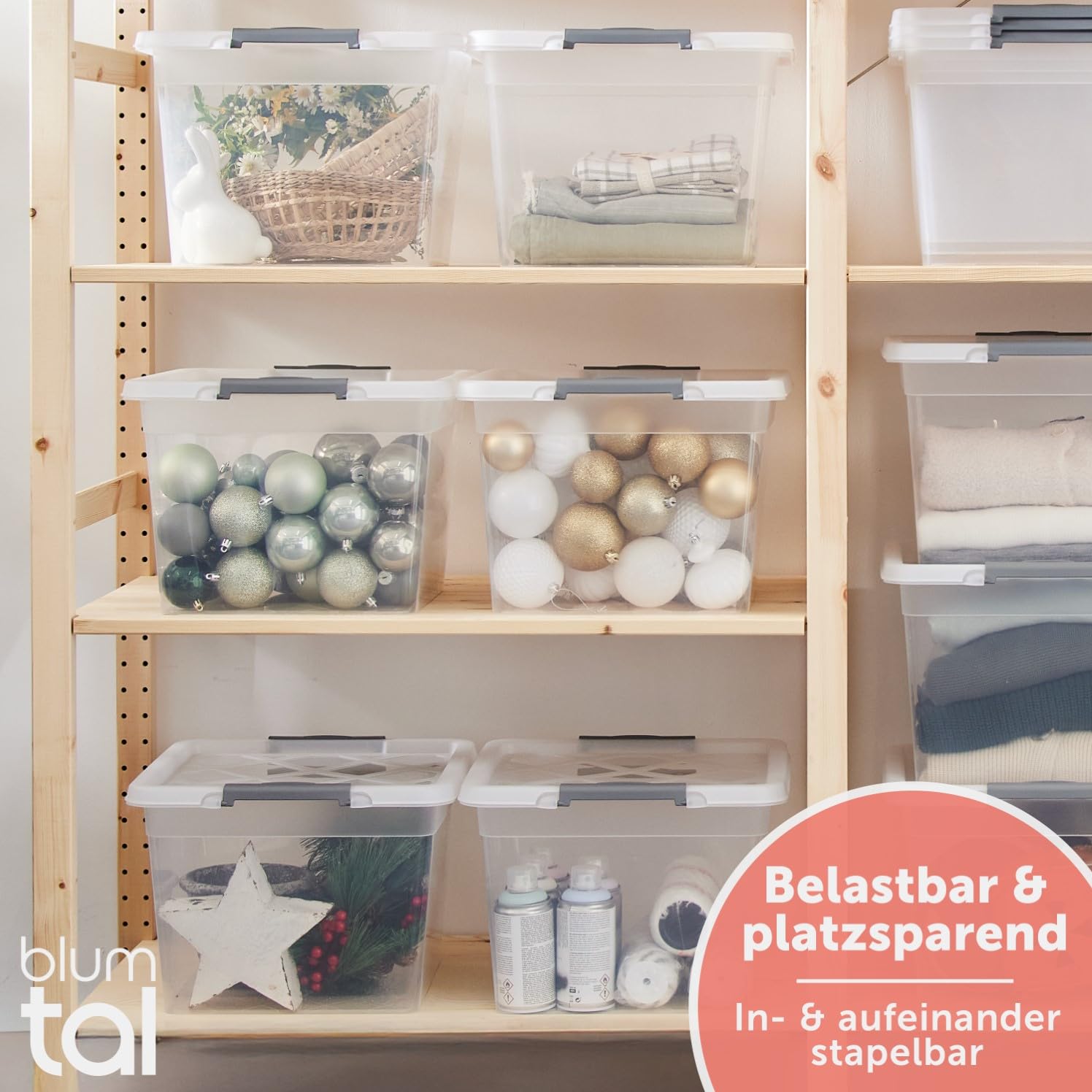 Blumtal Aufbewahrungsbox mit Deckel 32L aus Kunststoff - Aufbewahrungsboxen 36,5x36x26,5 cm - Boxen Aufbewahrung aus 100% Neumaterial & Verschlussclips - Aufbewahrungsbehälter mit Deckel 6er Set