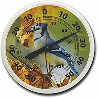 Vista 1 de BIOS Termómetro de esfera