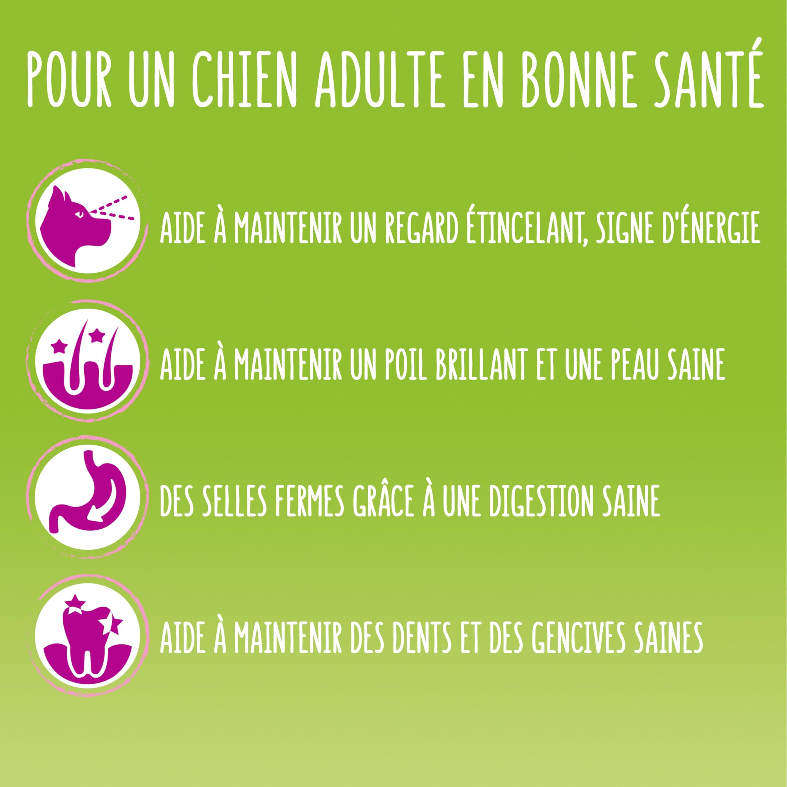 FRISKIES | Maxi | Chien | Croquettes pour Chiens Adultes de Grande Taille | au Boeuf | Source de protéines de Haute qualité | Sac | 12 KG