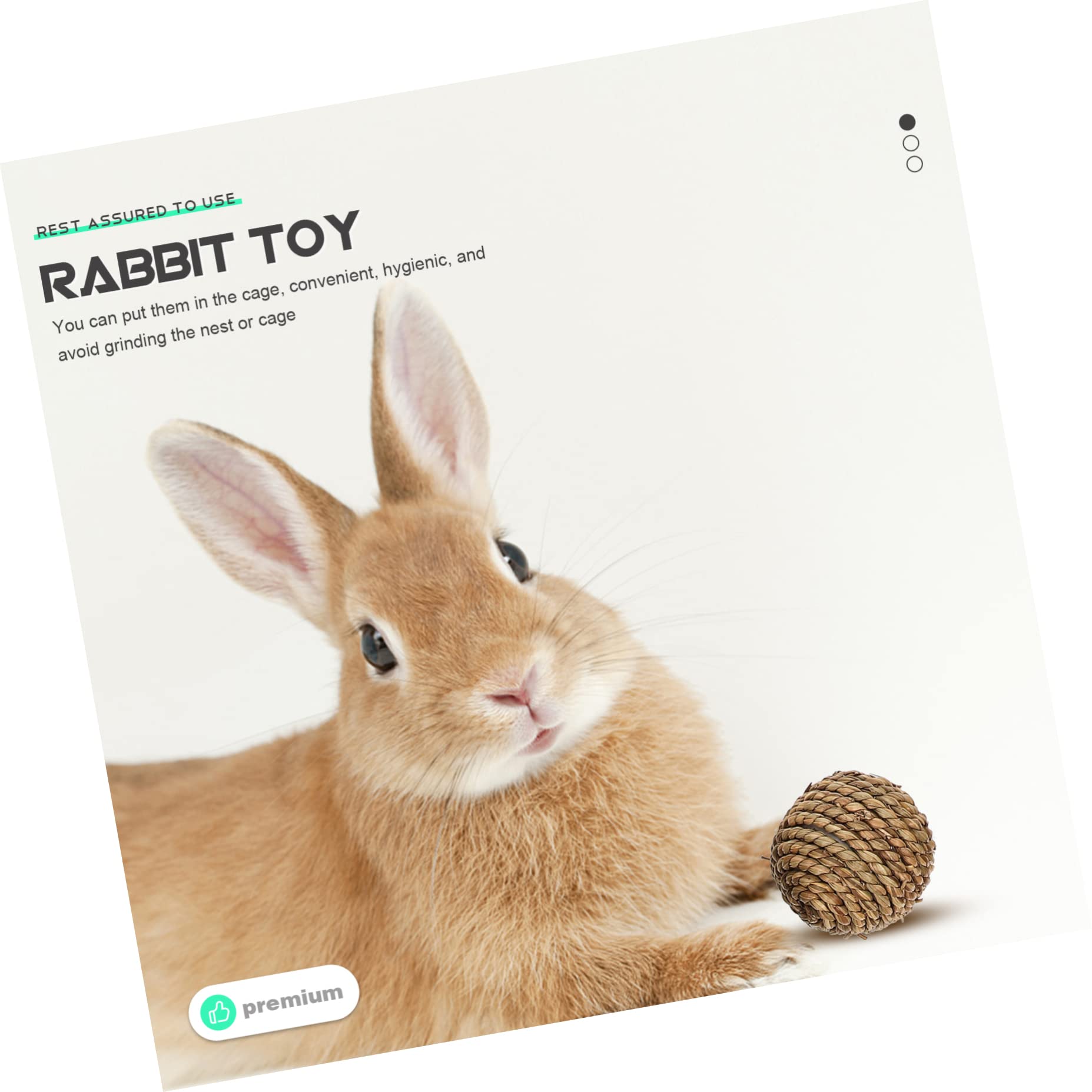 POPETPOP Set di Giochi in Paglia per Conigli, 9 Pezzi Intrecciati | Nido e Accessori da Masticare, per Animale Domestico, Adatti al Coniglio
